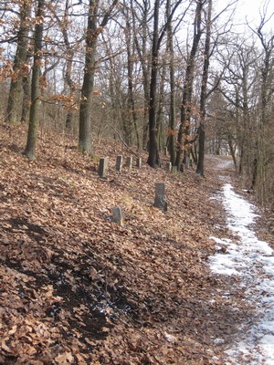 Lapidárium zaniklých obcí Doupovských hor na Vintířovském vrchu - březen 2010