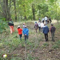 Setkání v Lauterbachu 2015 | komentovaná procházka po dochovaných dřevinách bývalého města