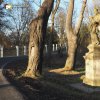 Stružná - socha sv. Jana Nepomuckého | zchátralá socha sv. Jana Nepomuckého v aleji u příjezdové silnice do Stružné - březen 2017