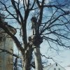 Sedlec - sloup se sochou Panny Marie | poškozený mariánský sloup - březen 1996