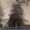 Štědrá - zámek | zámecká budova na historické fotografii z počátku 20. století