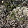 Doupovské Mezilesí - pomník obětem 1. světové války | nalezený rozvalený pomník obětem 1. světové války v zaniklé vsi Doupovské Mezilesí - březen 2019