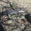 Dlouhá - kamenný kříž | torzo podstavce rozvaleného kamenného kříže u zaniklé vsi Dlouhá - březen 2017
