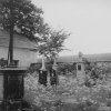 Dlouhá Lomnice - hřbitovní kříž | železný kříž na opuštěném hřbitově v roce 1966