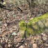 Lučiny - železný kříž | rozvalený žulový podstavec železného kžíže u Lučin - duben 2022