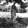 Kolešov - socha sv. Barbory | rozvalená socha sv. Barbory u Kolešova v roce 1963
