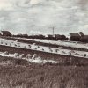 Kolešov (Kolleschau) | sklizeň na polích u vsi Kolešov na fotografii z roku 1959