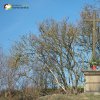 Pšov - Hartlův kříž | přední pohledová strana zchátralého Hartlova kříže na severovýchodním okraji obce Pšov - březen 2016