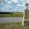 Kobylé - Forsterův kříž | zadní strana obnoveného Forsterova kříže při silnici do vsi Kobylé - červenec 2016