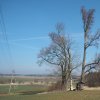 Zbraslav - sousoší Kalvárie | replika sousoší Kalvárie pod skupinou památných stromů u Zbraslavi - březen 2016