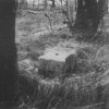 Těš - železný kříž | rozvalený podstavec kříže v zaniklé osadě v roce 1993