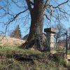 Herstošice - železný kříž | železný kříž s obnoveným ohrazením  pod mohutným jasanem na návsi v Herstošicích po celkové rekonstrukci - březen 2017