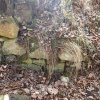 Dubina - tvrz | gotické zdivo zaniklé tvrze z lomového kamene - březen 2014