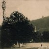Žlutice - hrad Nevděk | zříceniny hradu Nevděk na Zámeckém vrchu nad Žluticemi na historické pohlednici z počátku 20. století