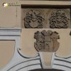 Žlutice - radnice | městský znak a alianční znak Kokořovců a Švamberků nad vstupním portálem - srpen 2015