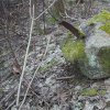 Mlyňany - železný kříž | žulový podstavec s torzem opěrky odlomeného kovaného kříže u zaniklé vsi Mlyňany - březen 2016