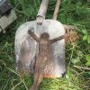 Lažany - Michlův kříž | nalezaná litinová plastika Ukřižovaného Krista - srpen 2016