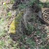 Mlýnce - pískovcový kříž | rozvalený podstavec kříže pískovcového kříže u osady Mlýnce - duben 2016