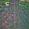 Pšov - železný kříž | náhodně objevený železný kříž v Pšově - srpen 2016