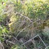 Močidlec - Mikuttův kříž | zadní strana poškozeného kamenného soklu Mikuttova kříže u Močidlece částečně zahrnutého zeminou - duben 2016