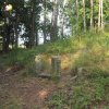 Poutnov - památník obětem 1. světové války | postupně zarůstající plocha symbolického lesního hřbitova u Poutnova - červenec 2018