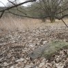 Lučiny - železný kříž | torzo rozvaleného kříže pod mohutným javorem při zaniklé cestě z Lučin - březen 2017