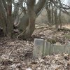 Lučiny - železný kříž | torzo rozvaleného kříže pod mohutným javorem při zaniklé cestě z Lučin - březen 2017