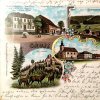 Jelení (Hirschenstand) | kolorovaná kolážová pohlednice obce Jelení (Hirschenstand) z roku 1899