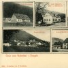 Pstruží (Salmthal) | historická kolážová pohlednice vsi Pstruží (Salmthal) z roku 1905