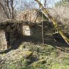 Sovolusky - Rohrerův mlýn | původní vnitřní dvorek zarostlý náletovými stromy v areálu zanoklého Rohrerova mlýna u Sovolusk - březen 2019