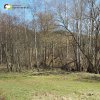 Sovolusky - Rohrerův mlýn | zcela zarostlý areál zaniklého Rohrerova mlýna u Sovolusk od severozápadu - březen 2017