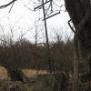 Polom - železný kříž | neudržovaný kovaný kříž v Polomi - březen 2017