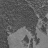 Javorná - Rábův mlýn | rozvaliny objektů zadní části areállu bývalého Rábova mlýna u Javorné na snímku vojenského leteckého mapování z roku 1961