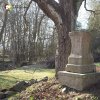 Pávice - železný kříž | zchátralý podstavec kříže mezi dvojicí javorů na návsi uprostřed vsi Pávice - březen 2017