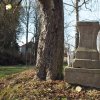 Pávice - železný kříž | zchátralý podstavec kříže mezi dvojicí javorů na návsi uprostřed vsi Pávice - březen 2017
