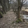 Bochov - Bártův mlýn | hráz zaneseného Mlýnského rybníku nad zaniklým Bártovým mlýnem u Bochova - březen 2017