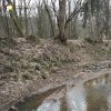 Bochov - Bártův mlýn | hráz zaneseného Mlýnského rybníku nad zaniklým Bártovým mlýnem u Bochova - březen 2017