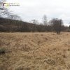 Bochov - Bártův mlýn | prostor Mlýnského rybníku nad zaniklým Bártovým mlýnem zaneseného vysokou vrstvou naplavené zeminy - březen 2017