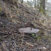 Martice - železný kříž | podstavec ulomeného kovaného kříže na bývalém rozcestí v zaniklé vsi Martice - březen 2017