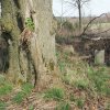 Brložec - železný kříž | podstavec ulomeného litinového kříže pod dvojicí vzrostlých stromů u Brložce - duben 2016