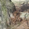 Lažany - kamenný kříž | žulový základový sokl odstraněného podstavce kamenného kříže u Lažan - březen 2016