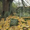 Tureč - kaple | zříceniny kamenné kaple u Turče - říjen 2022