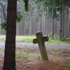 Luhov (Komárov) - smírčí kříž | smírčí kříž u cesty v Rozporenském lese - červen 2009