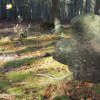 Hrušková - smírčí kříž | znovuvztyčený kamenný smírčí kříž v lese u Hruškové - leden 2024