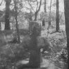 Nivy - smírčí kříž | přenesený smírčí kříž při lesní cestě do Mezirolí na historické fotografii z doby kolem roku 1939