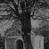Litoltov - kaple Panny Marie Růžencové | poutní kaple Panny Marie Růžencové u Litoltova na počátku 20. století