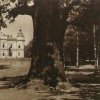 Dalovice - Nový zámek | Nový zámek od Körnerova dubu v době před rokem 1913