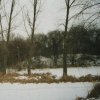 Přemilovice - stará tvrz | zarostlé vodní tvrziště v bývalých Přemilovicích - leden 1996