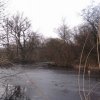 Přemilovice - stará tvrz | široký vodní příkop přemilovického tvrziště - březen 2010