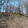 Doupovské Mezilesí (Olitzhaus) | rozvaliny zbořených usedlostí v zaniklé obci Doupovské Mezilesí - březen 2019